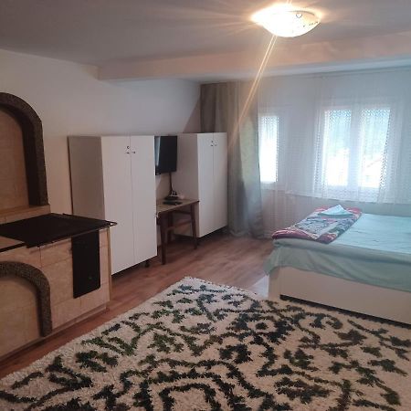 Casa Bucovina Dorna Candrenilor Ascutitele Экстерьер фото