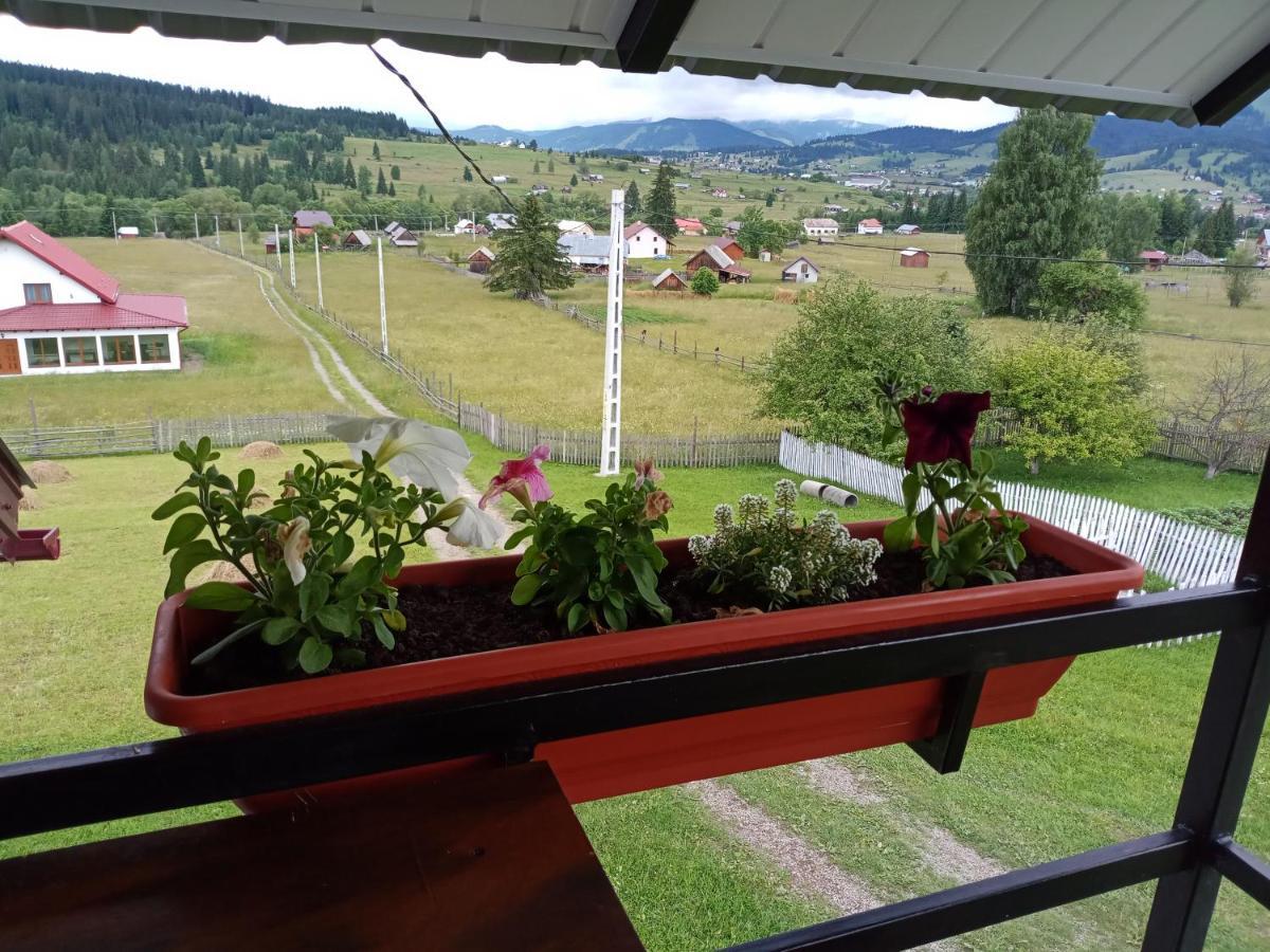 Casa Bucovina Dorna Candrenilor Ascutitele Экстерьер фото