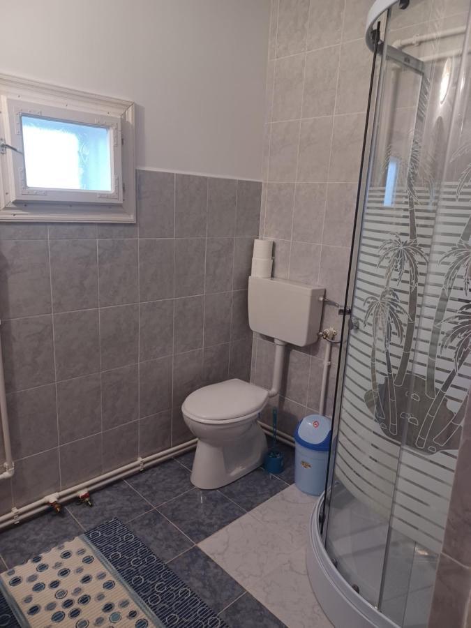 Casa Bucovina Dorna Candrenilor Ascutitele Экстерьер фото