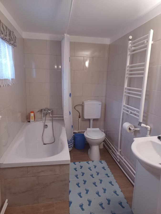 Casa Bucovina Dorna Candrenilor Ascutitele Экстерьер фото