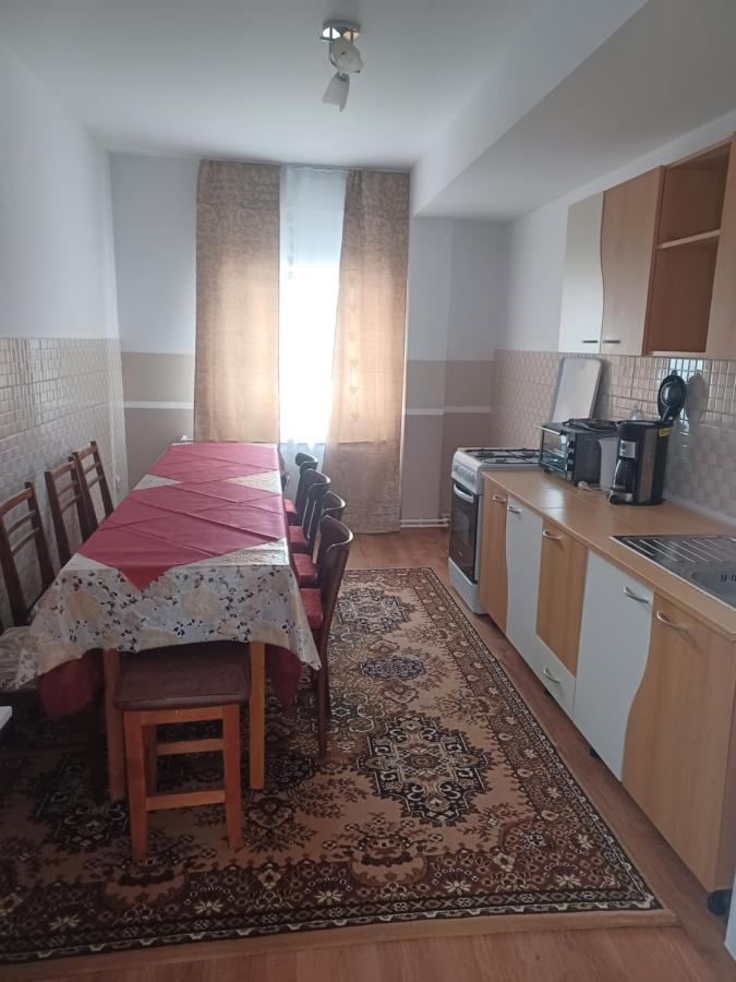 Casa Bucovina Dorna Candrenilor Ascutitele Экстерьер фото
