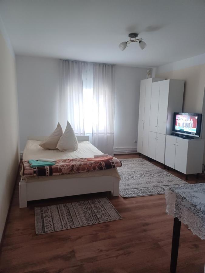 Casa Bucovina Dorna Candrenilor Ascutitele Экстерьер фото
